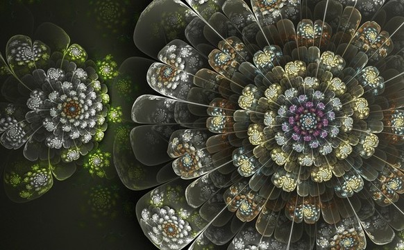 花紋