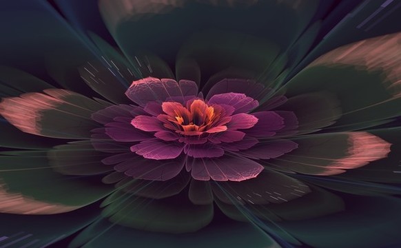 花朵
