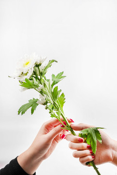 手捧花束