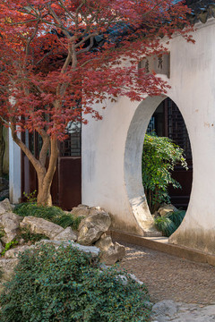 蘇州藝圃園林景觀