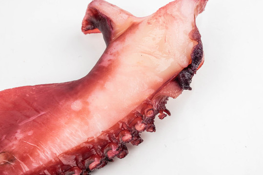 章魚(yú)足