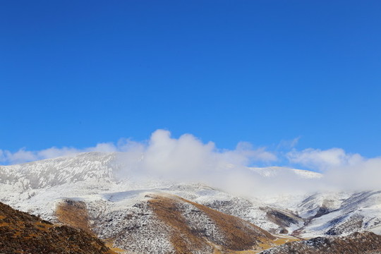 雪域高原