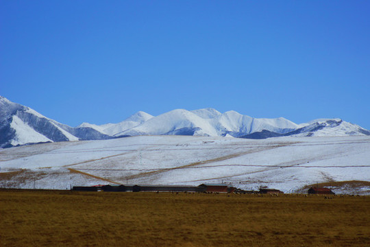 雪山風(fēng)光