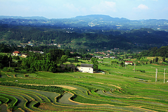 梯田