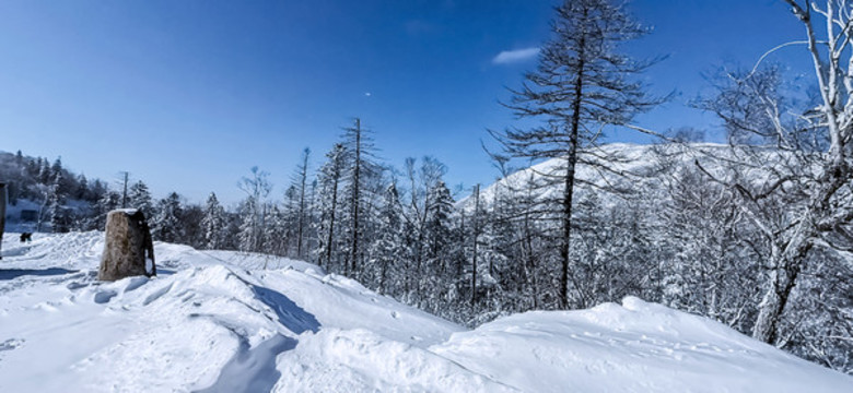 雪景