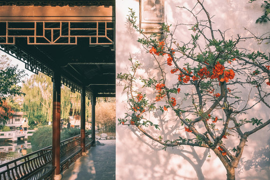 北京園博園