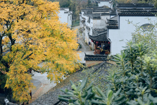 宏村古鎮(zhèn)