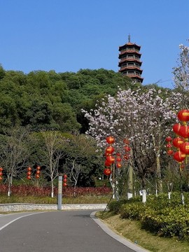 公明紅花山公園