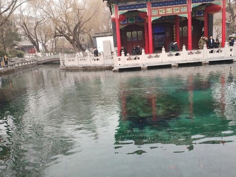趵突泉