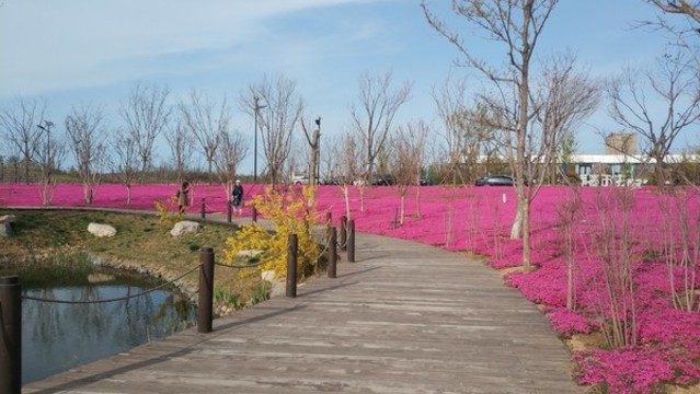 北中國海公園