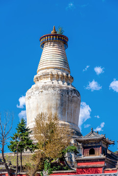 中國山西忻州五臺山塔院寺白塔