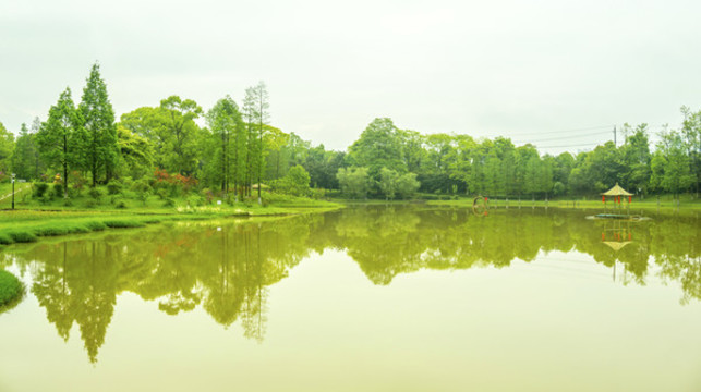 綠樹碧水