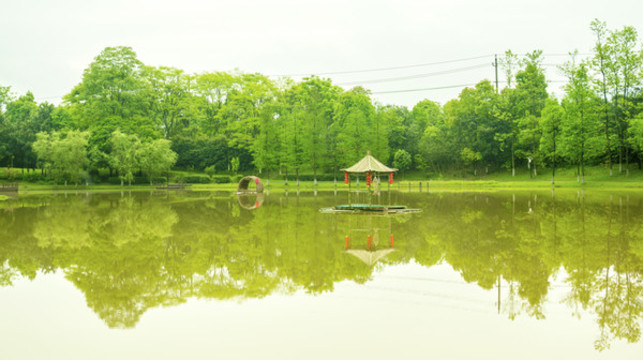 綠樹碧水