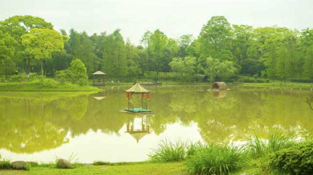 綠油油湖光山色