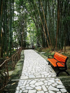 竹林小徑