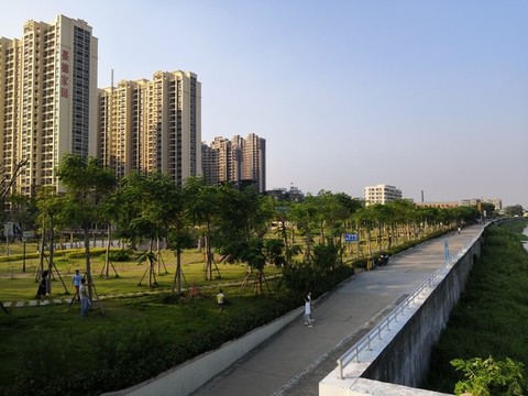 公園風景