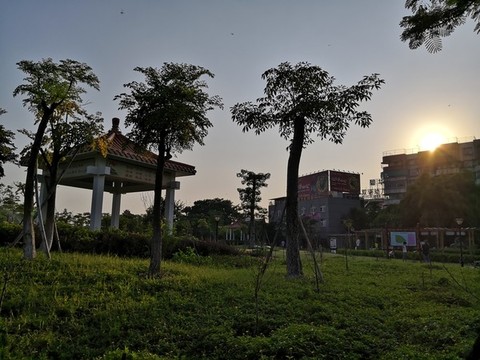 公園風(fēng)景