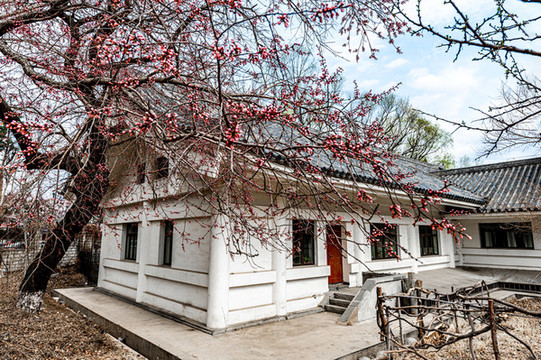 春暖花開的中國長春城區(qū)景觀