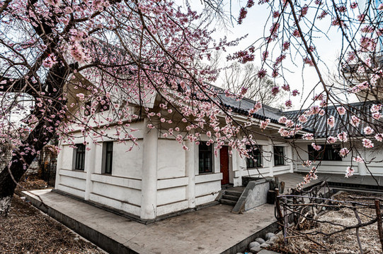 春暖花開的中國長春城區(qū)景觀
