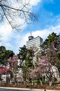 春暖花開的中國長春城區(qū)景觀