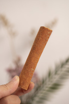 桂皮