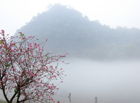 霧