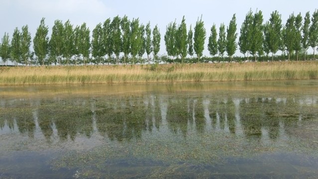 河流