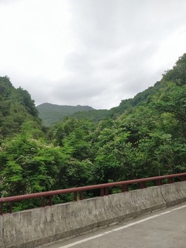 路上的風(fēng)景