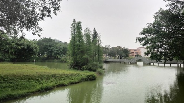 公園湖泊