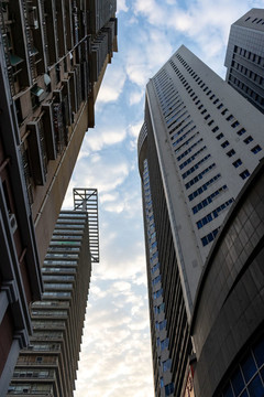 深圳的早晨