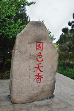 洛陽國際牡丹園國色天香石牌