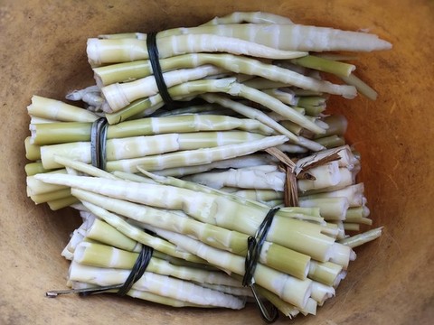 小竹筍