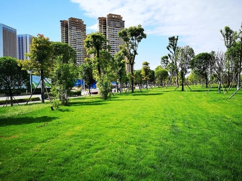 城市綠地