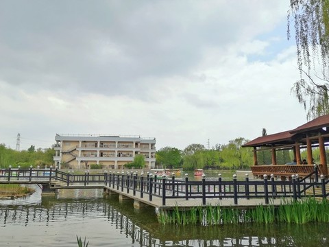 城市公園