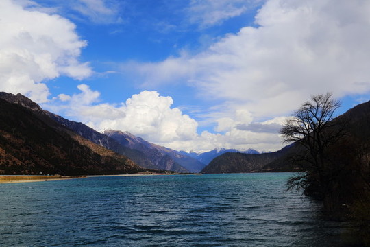 高原大山