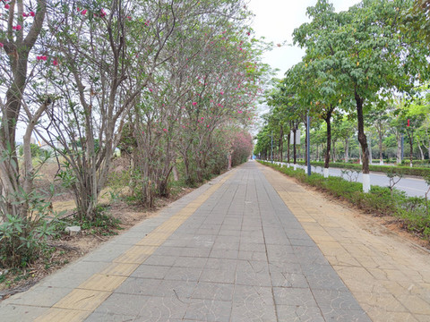 綠道