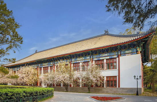 北京大學(xué)外文樓海棠盛開