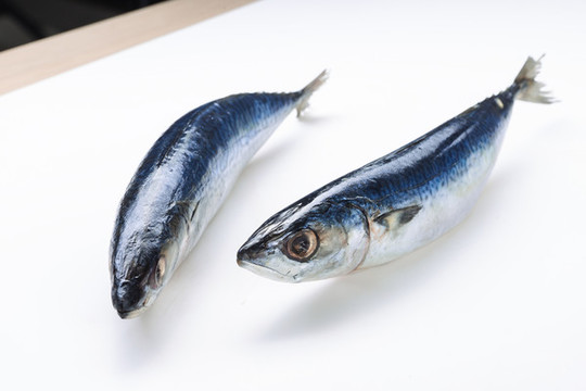 鲅魚藍(lán)點馬鮫