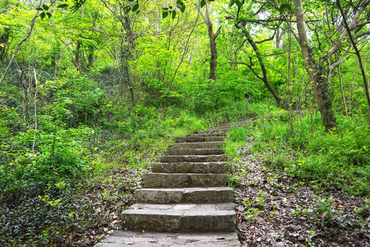 山間小路