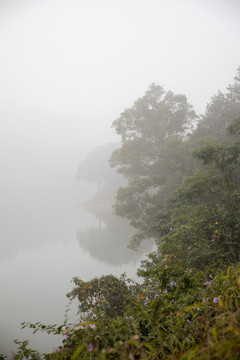 煙雨籠罩