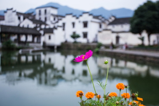 富陽龍門古鎮(zhèn)