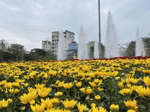 越南海防廣場菊花