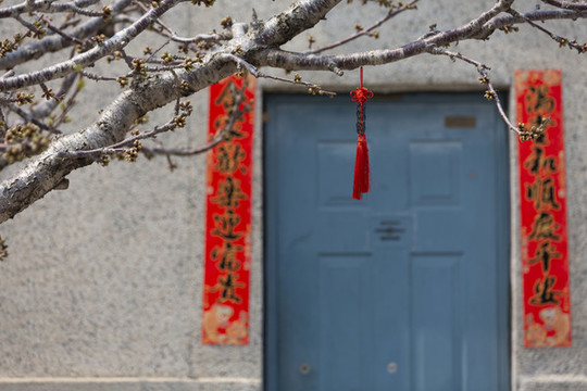 貼春聯(lián)的房門和含苞待放的桃花