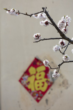 花開(kāi)富貴福字桃花