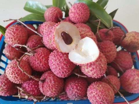 剝開(kāi)荔枝