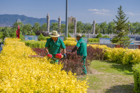 園林綠化