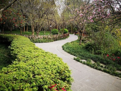 公園春色