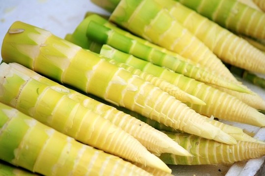 竹筍