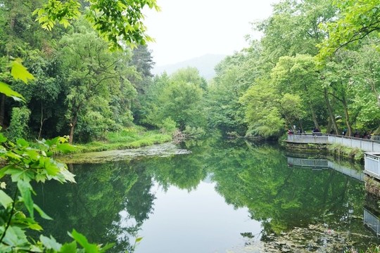 貴陽小車河濕地公園
