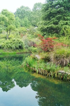 貴陽小車河濕地公園